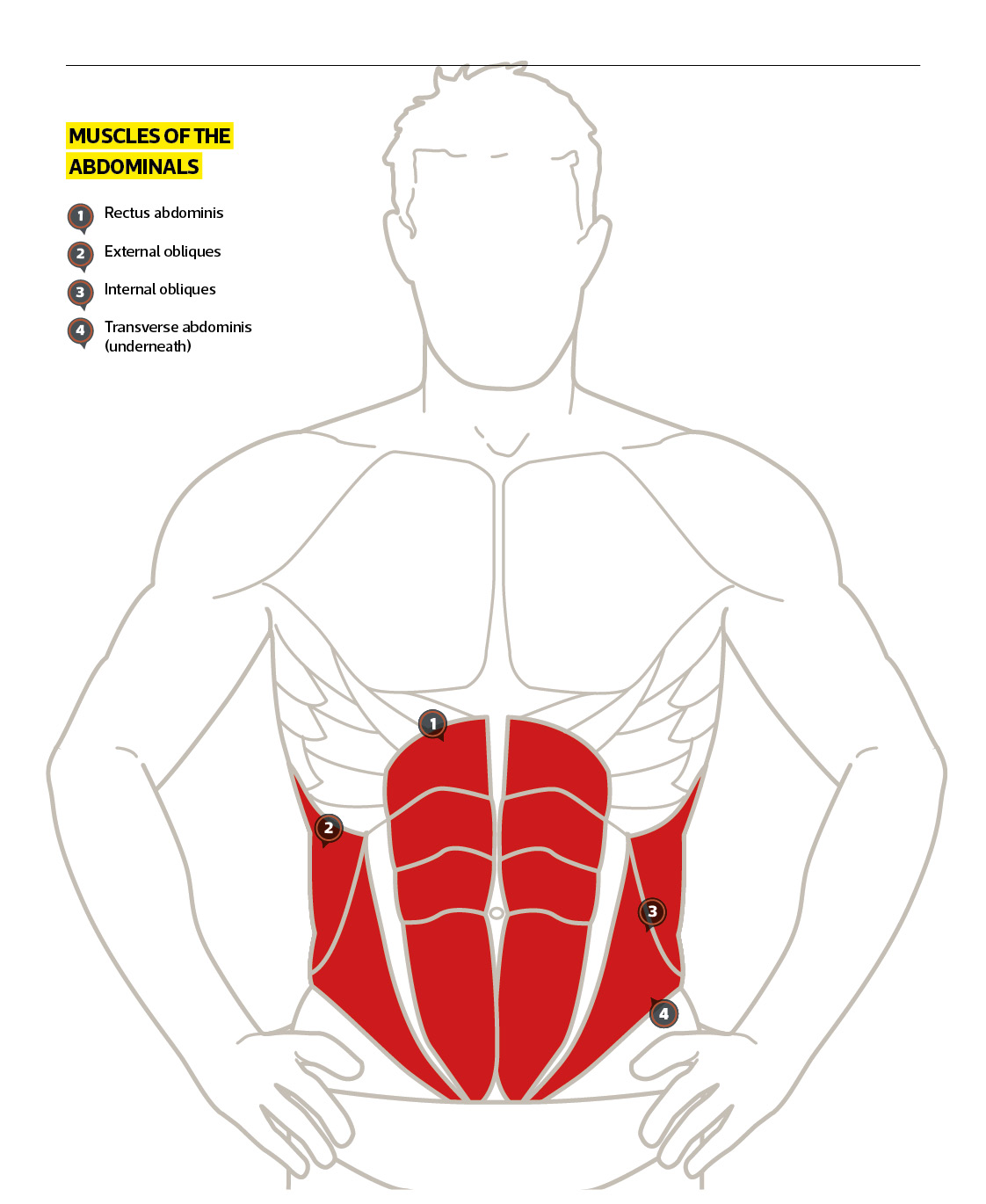 How To Get Six Pack Abs