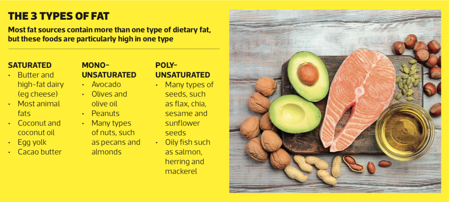 the-macronutrients-carbs-protein-and-fats-explained